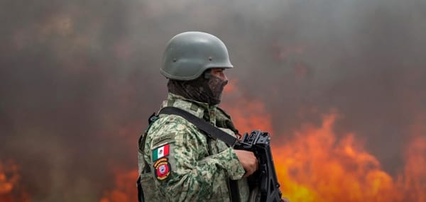 Cartel Violence Erupts in Guanajuato, Mexico: The Killing of Seven Youths and the Deepening Security Crisis